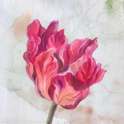 Pink Tulip. Volna Olga