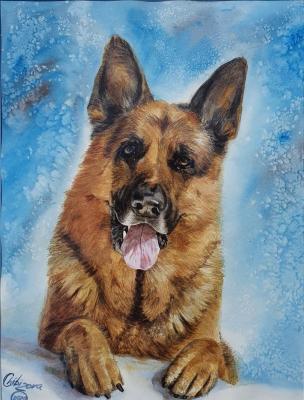 ���. �������� ������