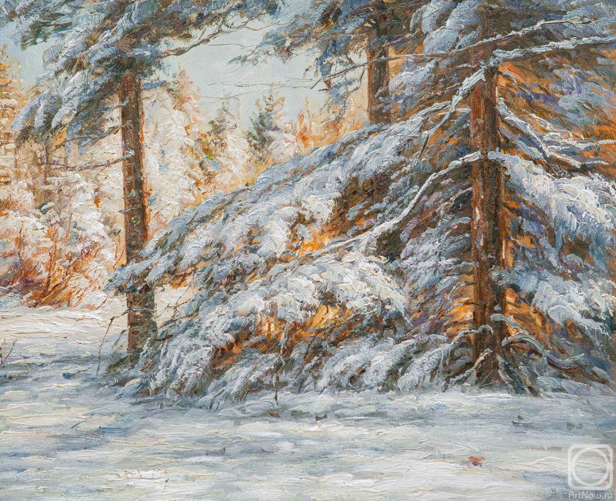 Vlodarchik Andjei. In the spruce forest in winter