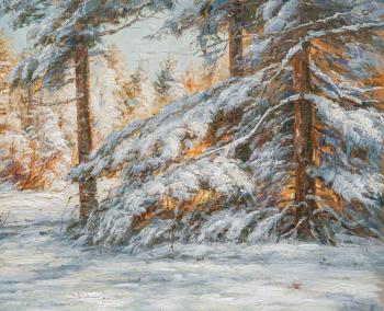 In the spruce forest in winter