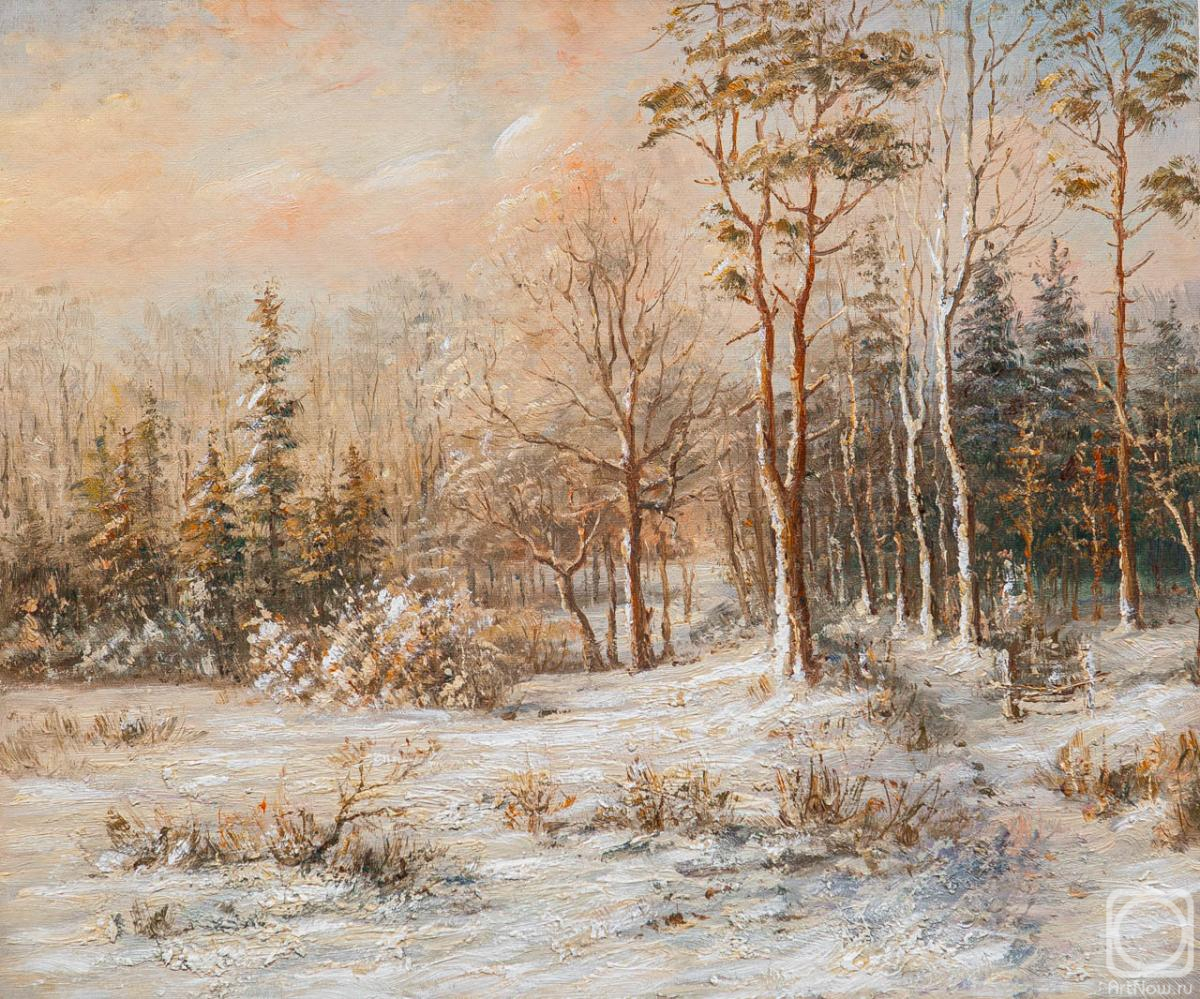 Vlodarchik Andjei. Winter Day