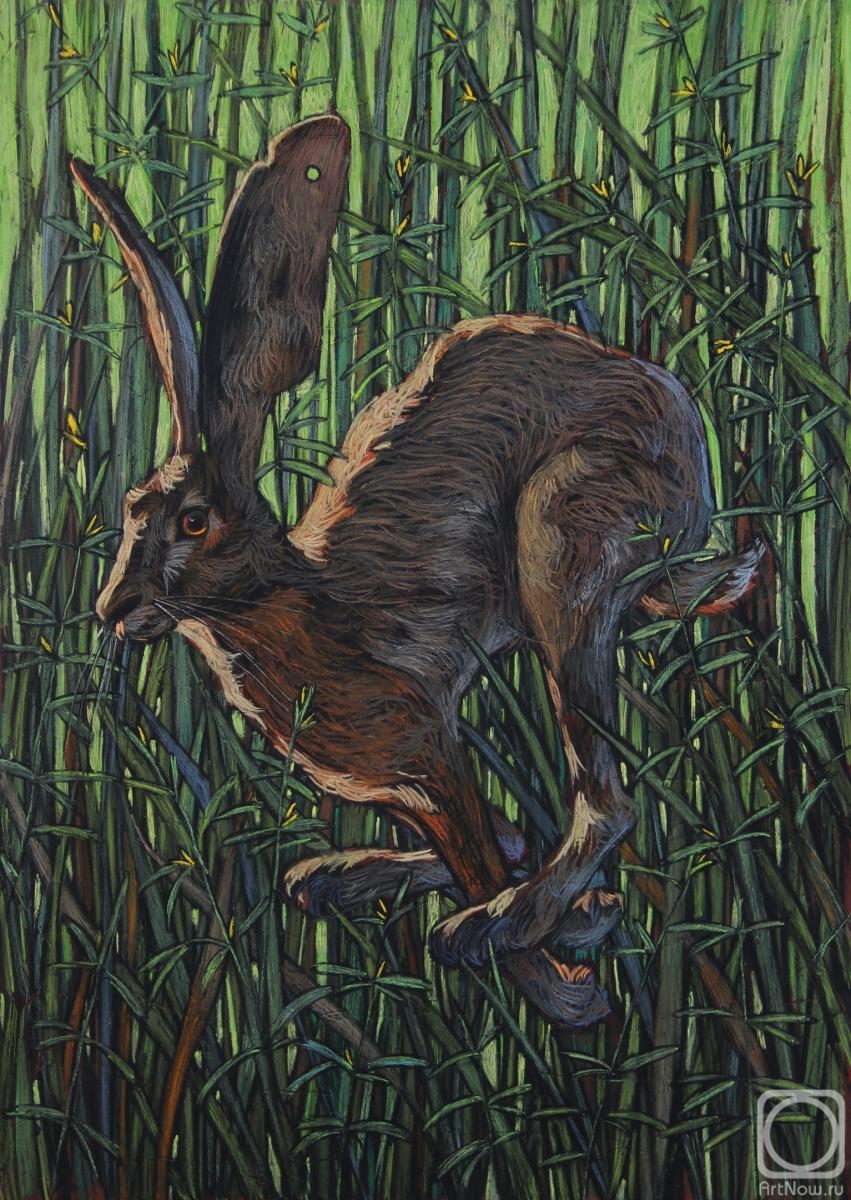 �������. ������� �������. �����������