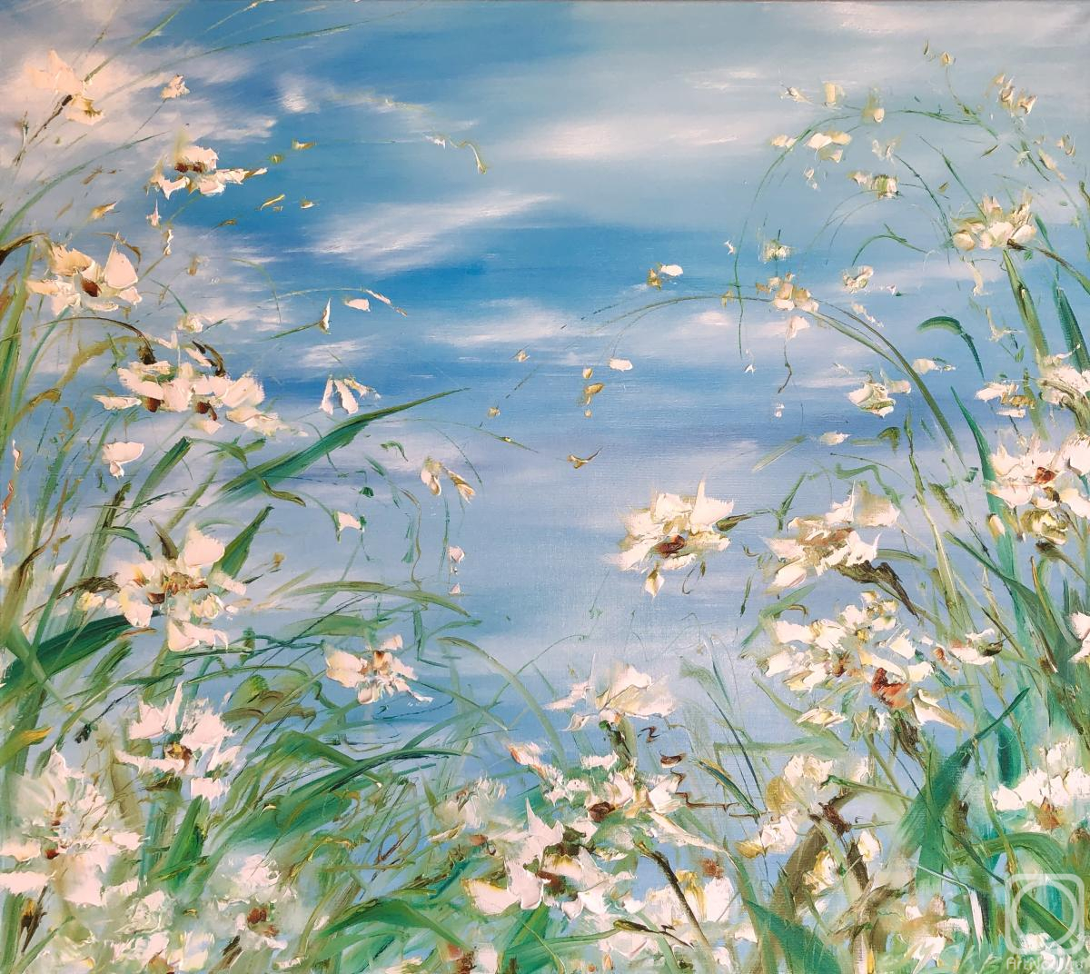 Skromova Marina. In the field of daffodils