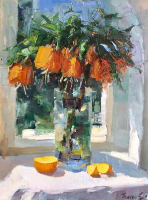 ������ �������������. ������ �����