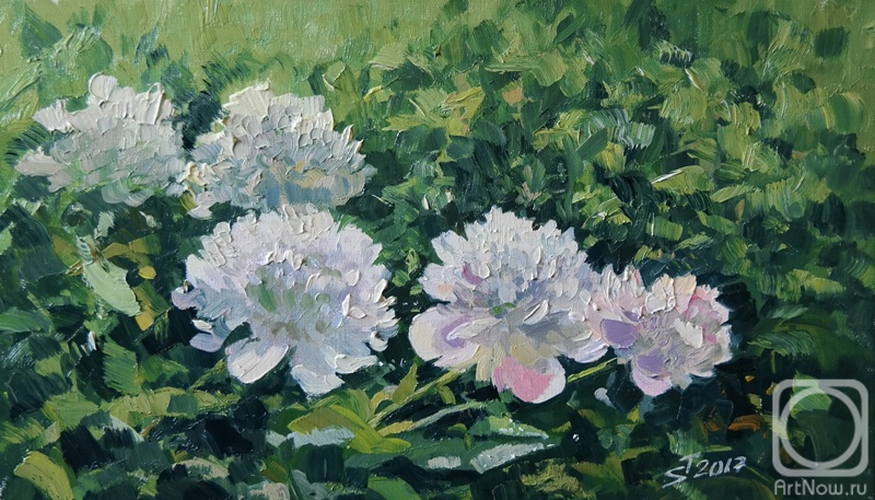 ������� ������ �� ������. ���������� ������. ���� � �������