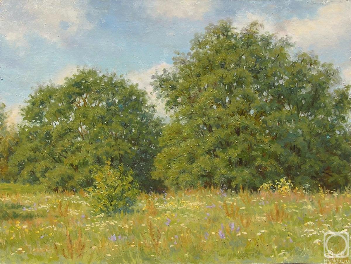 Kosterin Sergey. Oaks on the Sunny meadow