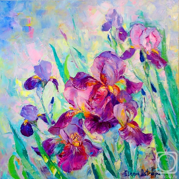 Ostraya Elena. Rainbow garden irises