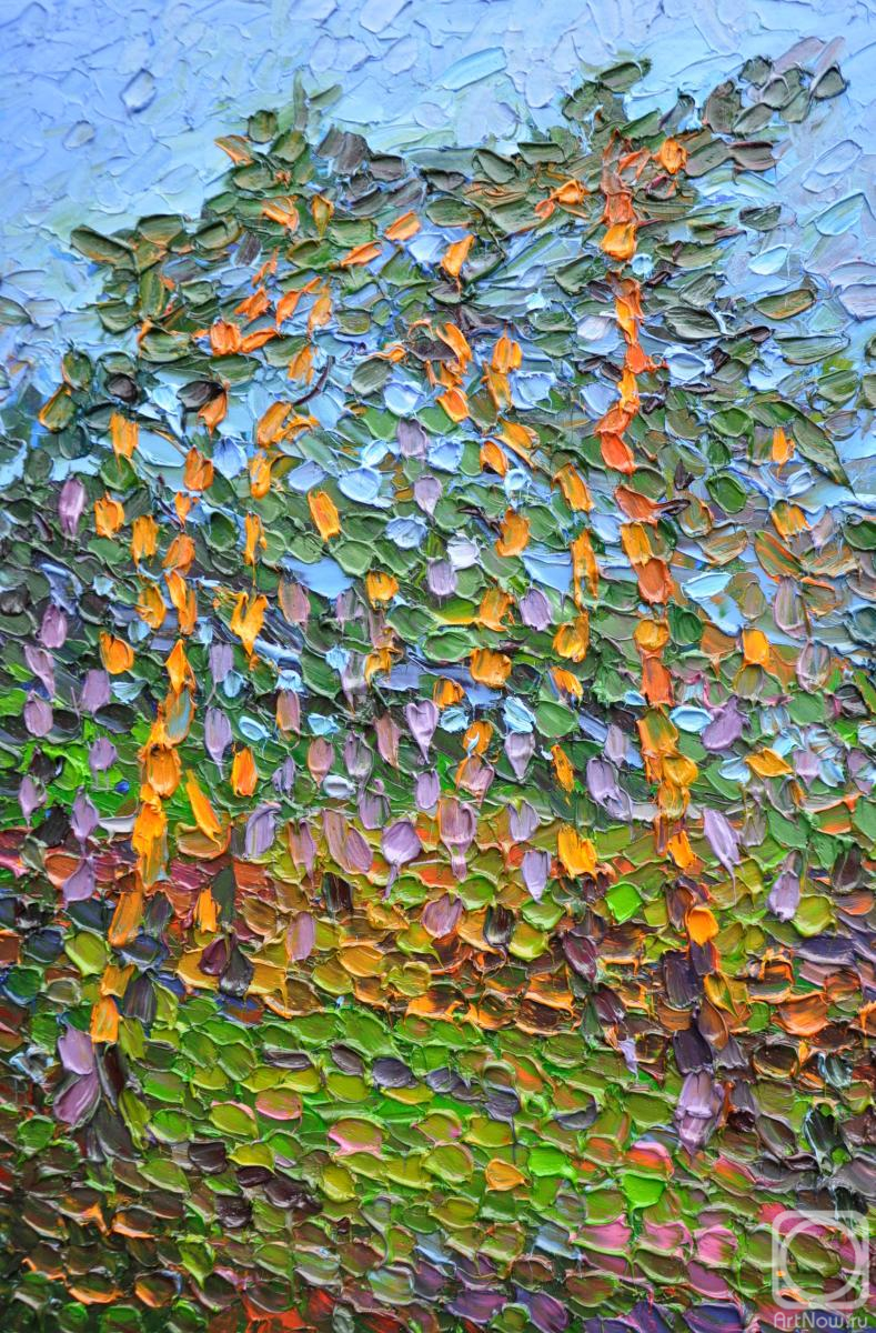 ������� ������ �� ������. ������ �����. ���� ���������� �� ������