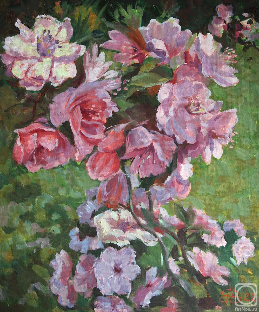 ������� ������ �� ������. ������ ��������. ��������� ������