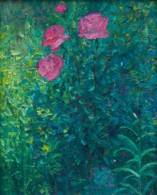 ������� ������� ������� ����