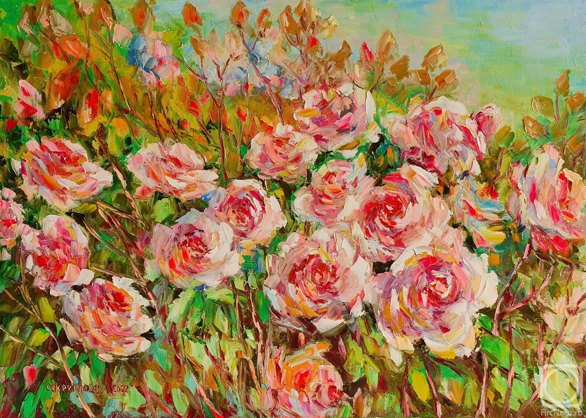 Kruglova Svetlana. The rose bush has blossomed