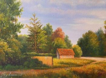 Summer day in the village N2