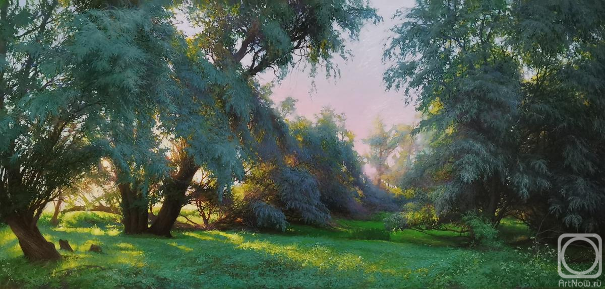 �������. �������� ������. ���� � �����