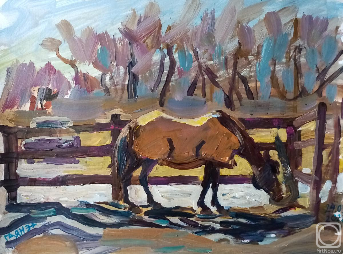 Dobrovolskaya Gayane. Pony in the paddock, March day