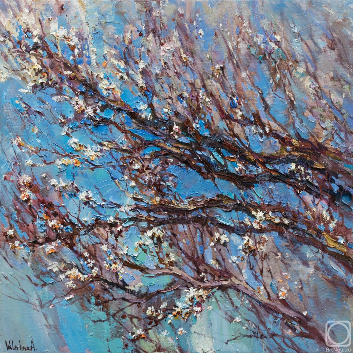 Valiulina Anastasiya. Flowering apricot tree