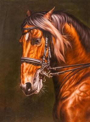 Bay. Portrait (Portrait Of A Horse). Kamskij Savelij
