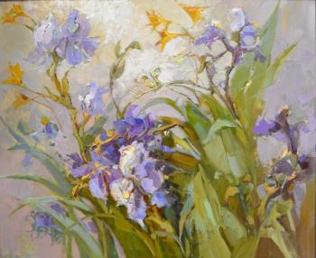 ������� ���� ������