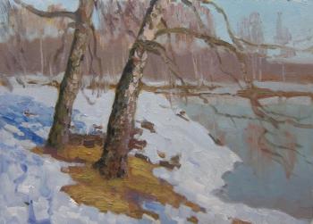March. Birches on the bank of the Klyazma