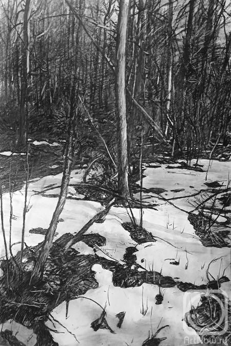 Rudnik Mihkail. April in the forest
