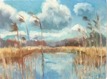 ������� ���� �����