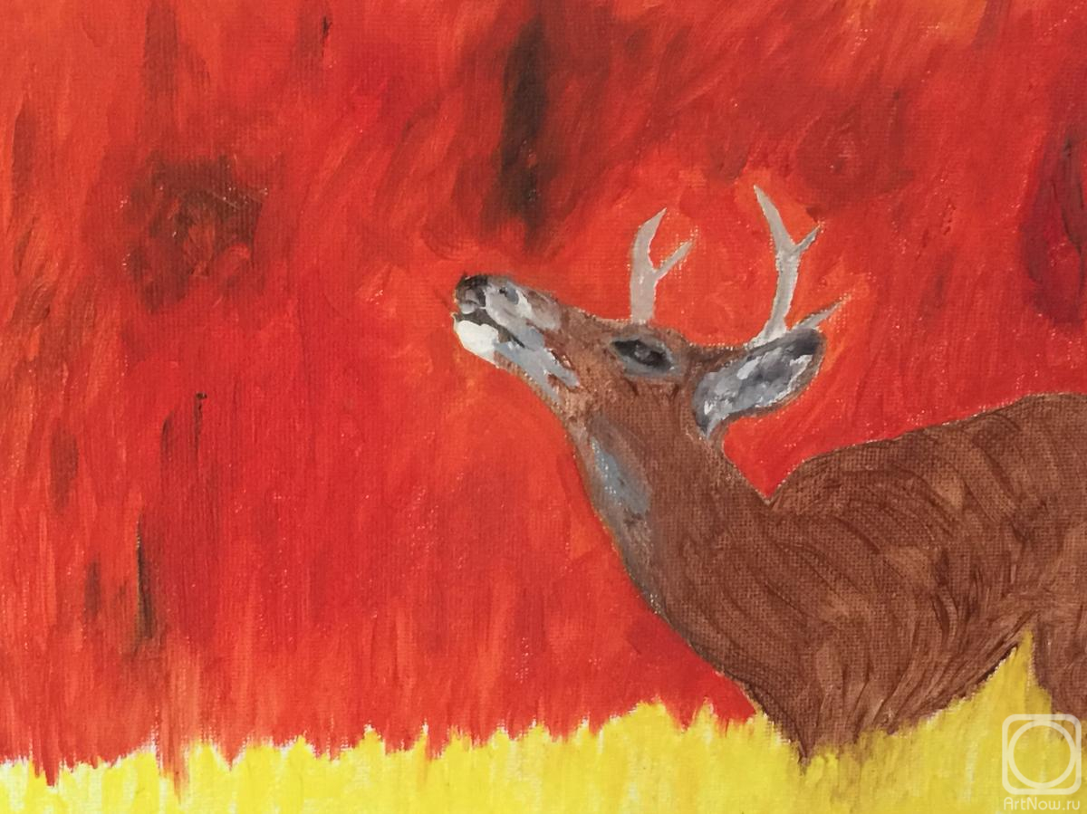 ������� ������ �� ������. ������ ��������. ����� �����