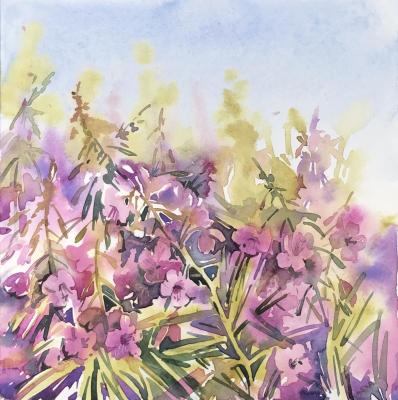 ����-���. ���������� ��������