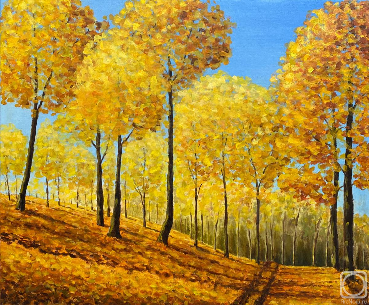 ������� ������ �� ������. �������� ����������. ������ ���� �����