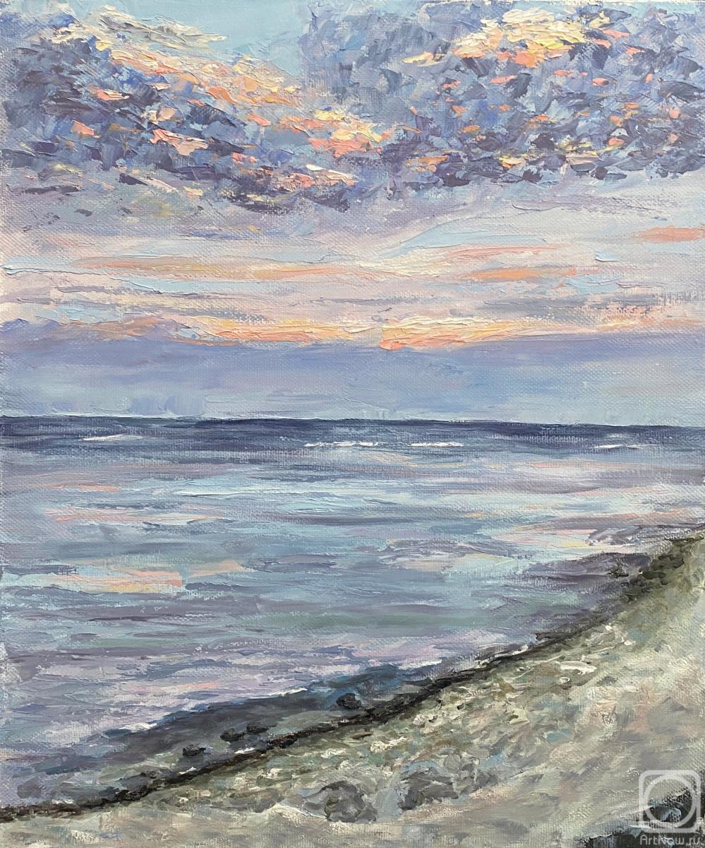 Danilova Aleksandra. Blue sunset on ocean beach