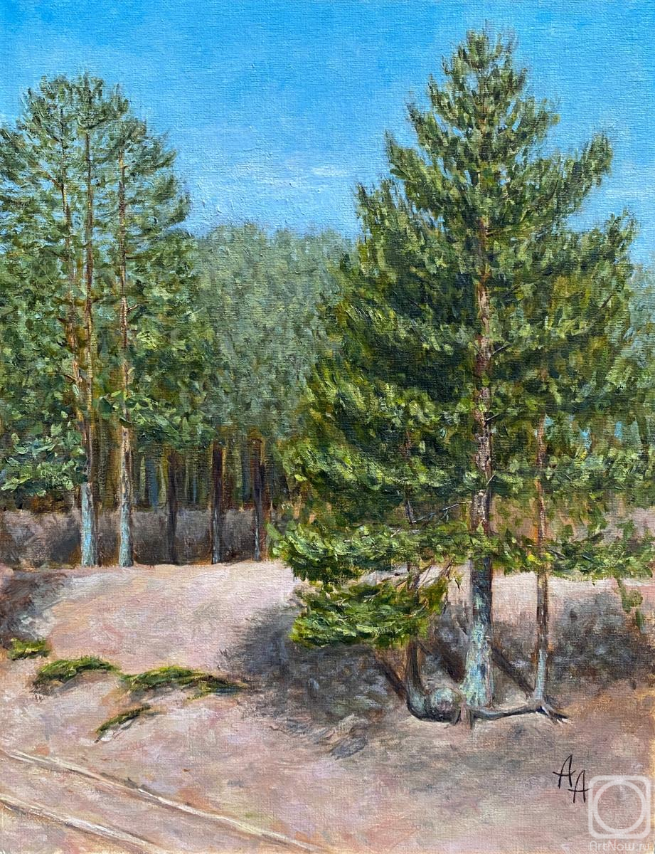 Danilova Aleksandra. Landscape with pine trees