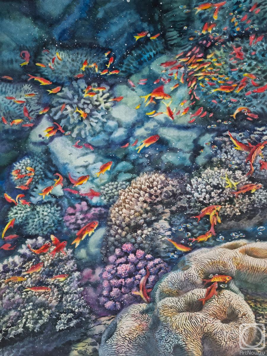 Dzhinaliev Yuriy. The Reef