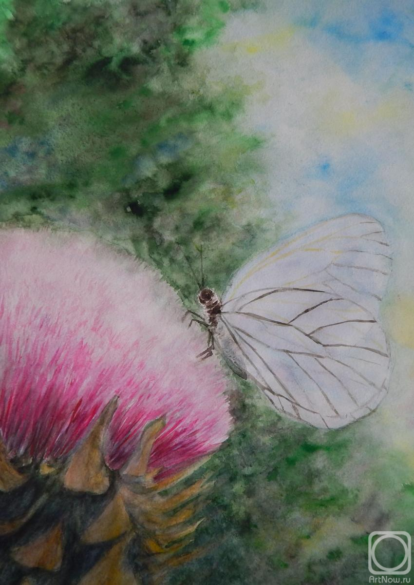 �������. ������ �������. ������� 2