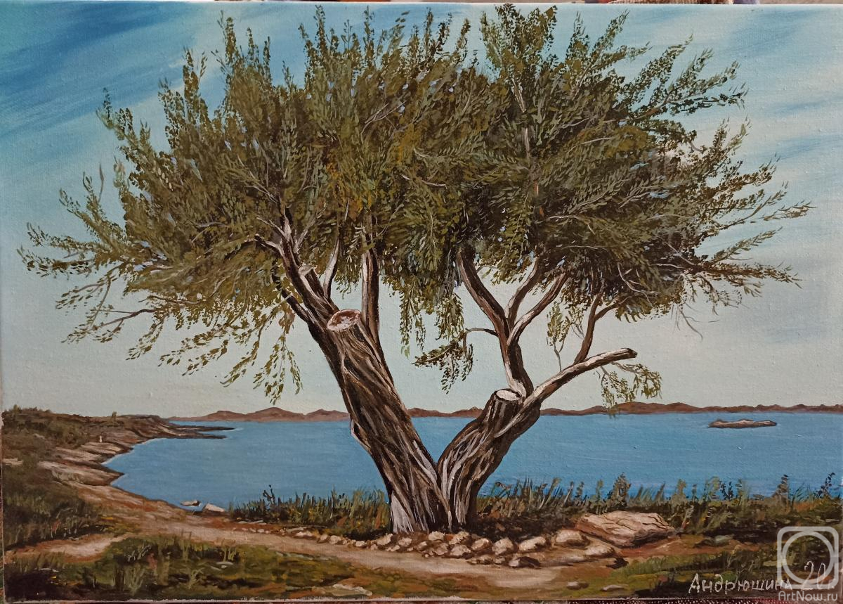 Andryushina Zinaida. Old olive tree
