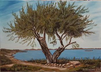 Old olive tree. Andryushina Zinaida