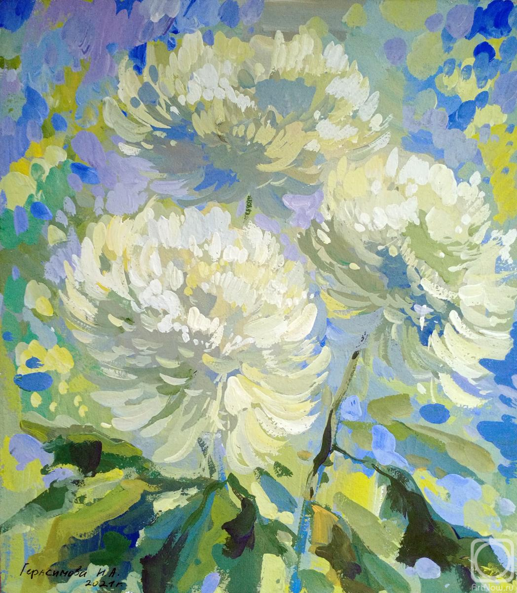 Gerasimova Natalia. Chrysanthemums