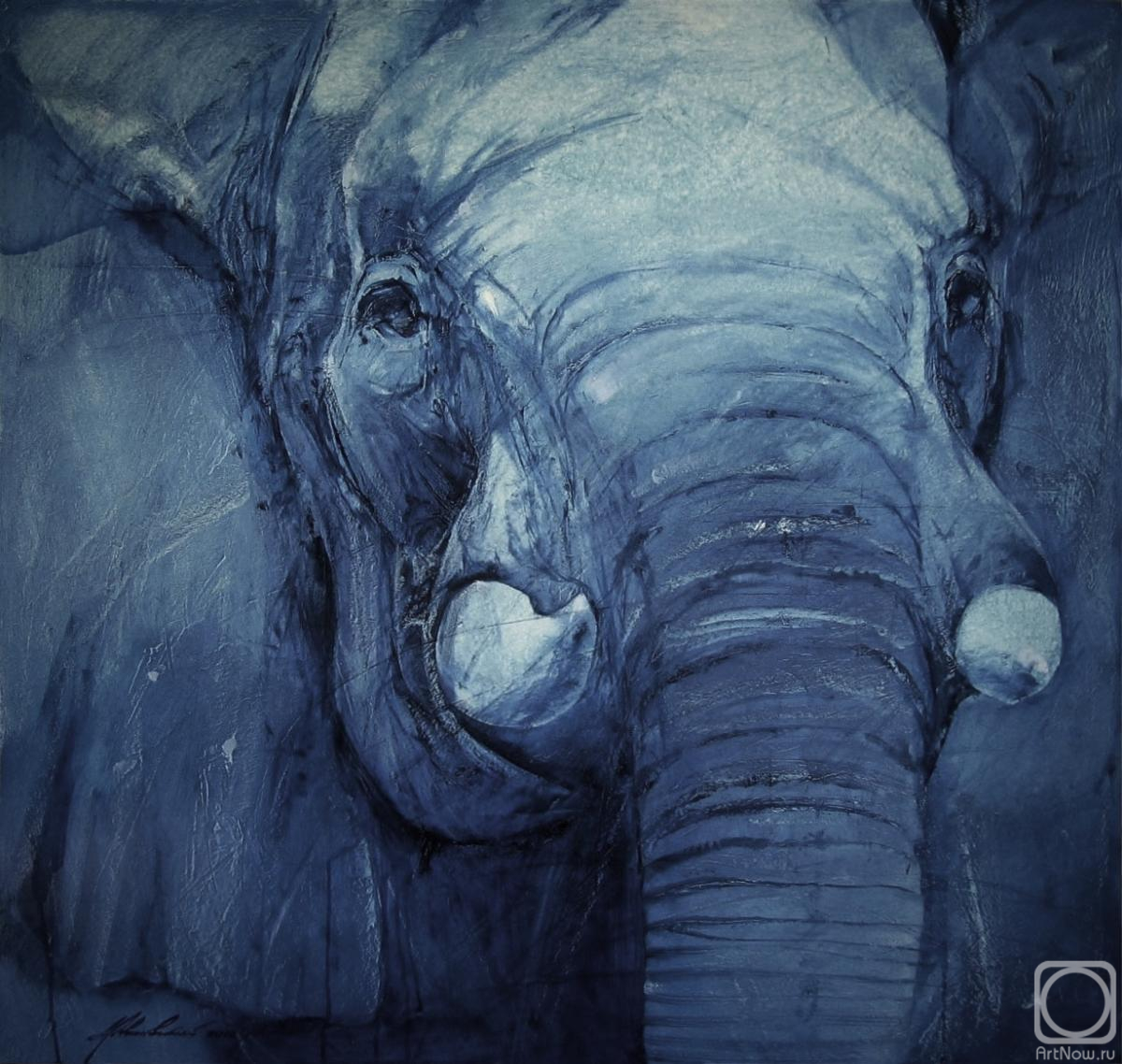 �������. ����������� ���������. ���� � ����