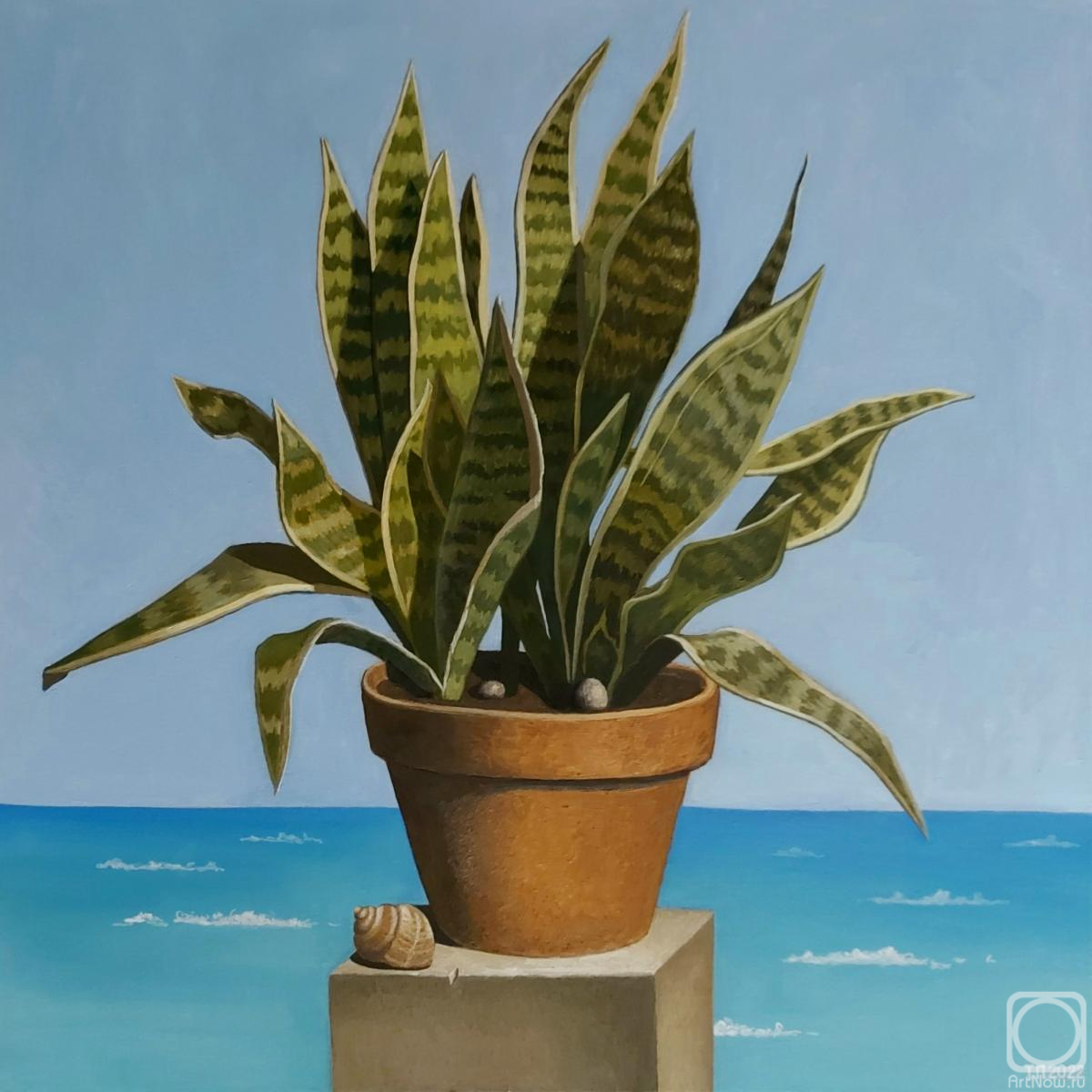 ������� ������ �� ������. ������ �������. �������� �����