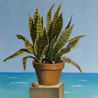 ������� ��������� ������