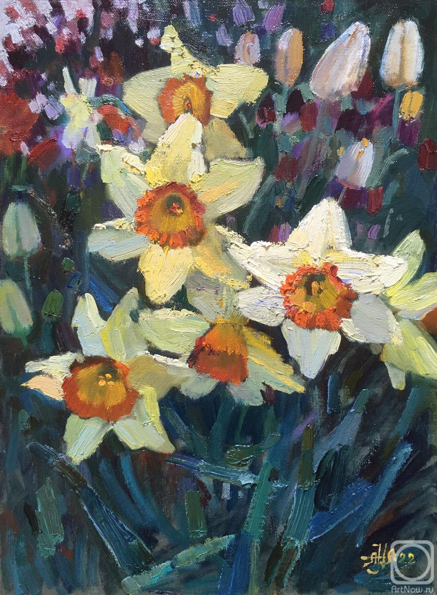 Norloguyanova Arina. Field of daffodils