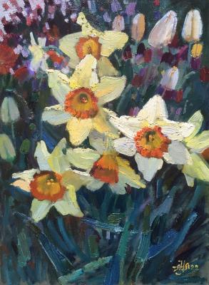 Field of daffodils (Daffodils In Painting). Norloguyanova Arina