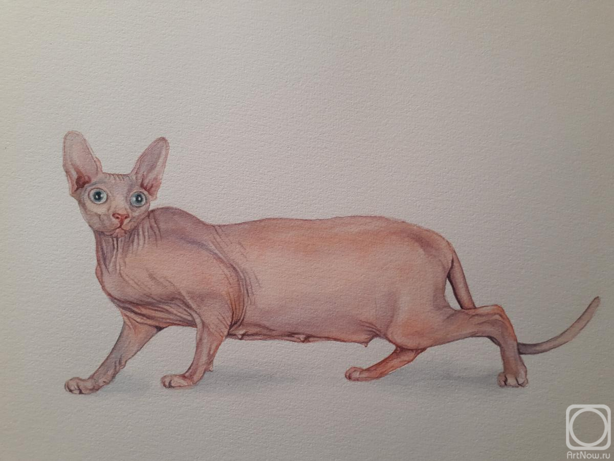 �������. �������� ������. ����������