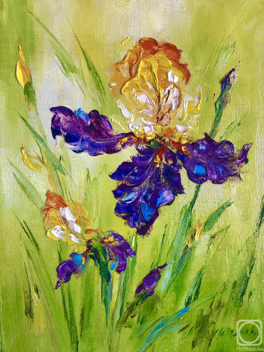 Skromova Marina. Bright blue iris