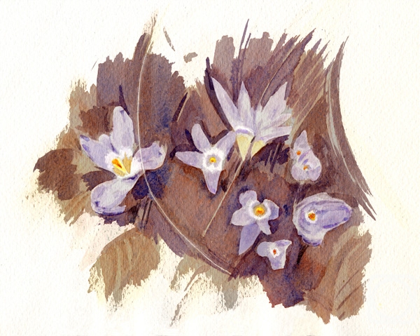 �������. ������� ����. �����