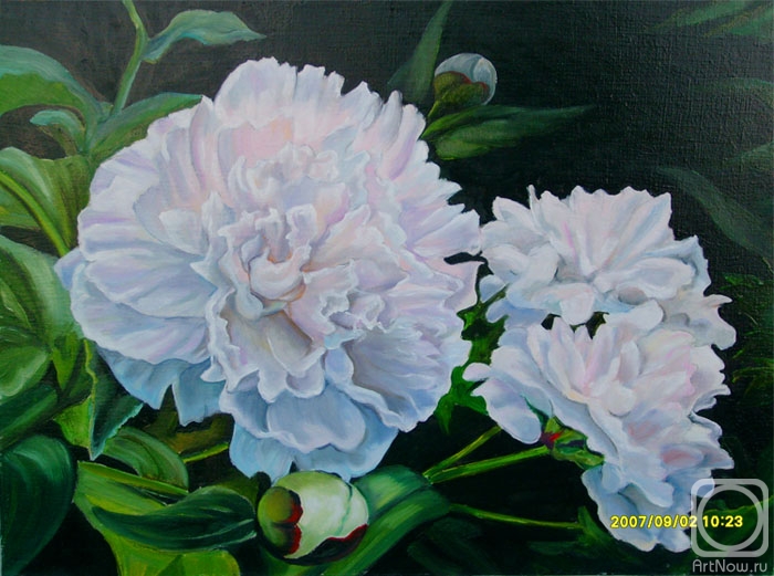 ������� ������ �� ������. ��������� �����. ����� �����