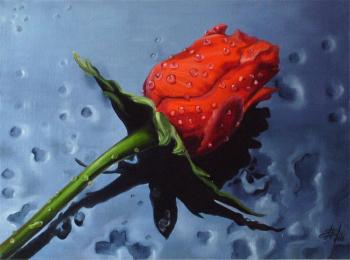 ������� ������ ���� ����, ������