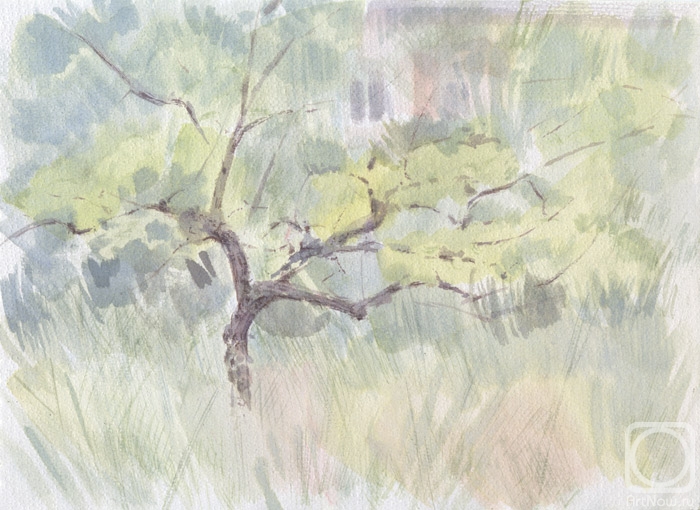 �������. ������� ����. ������