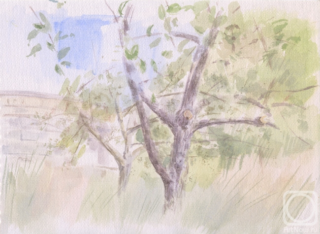 �������. ������� ����. ������