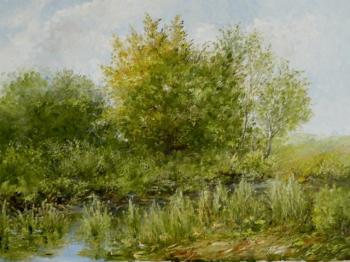 ������� �������� ����