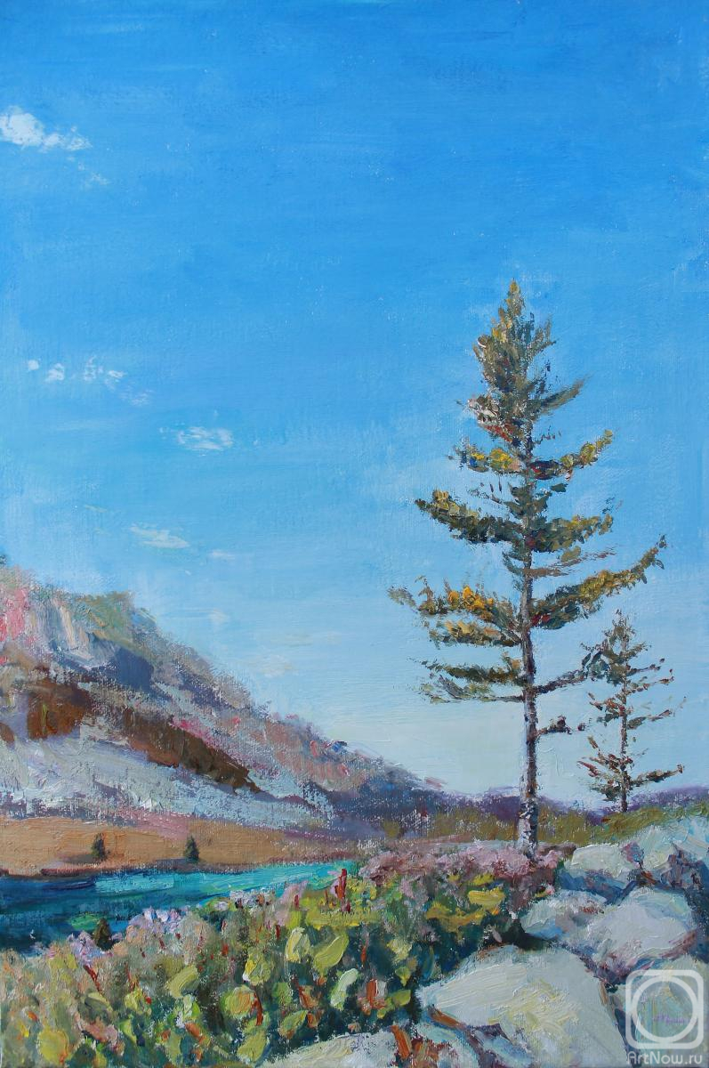 ������� ������ �� ������. ��������� �����. ��� ��� ����������