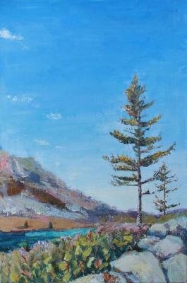 Spruce over Karakol lakes. Milashevich Olga