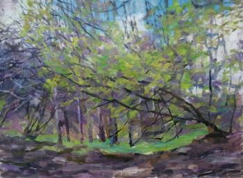 ������� ����������� ���������